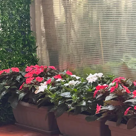 Casa Di Zitti * Numana